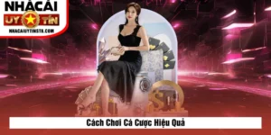 Cách Chơi Cá Cược Hiệu Quả