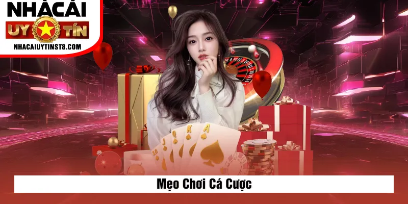 Mẹo Chơi Cá Cược